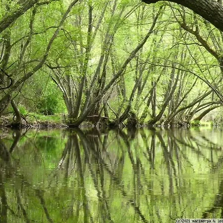 At El Rincon De Bohonal