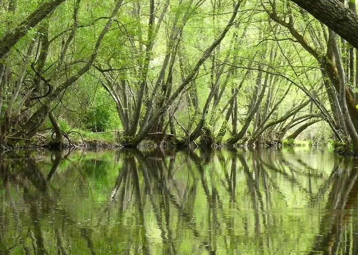 At El Rincon De Bohonal